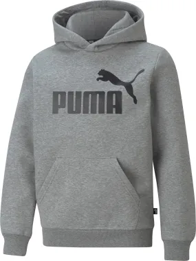 PUMA ESSENTIALS Hoodie Jungen medium gray heather im Online Shop von kaufen